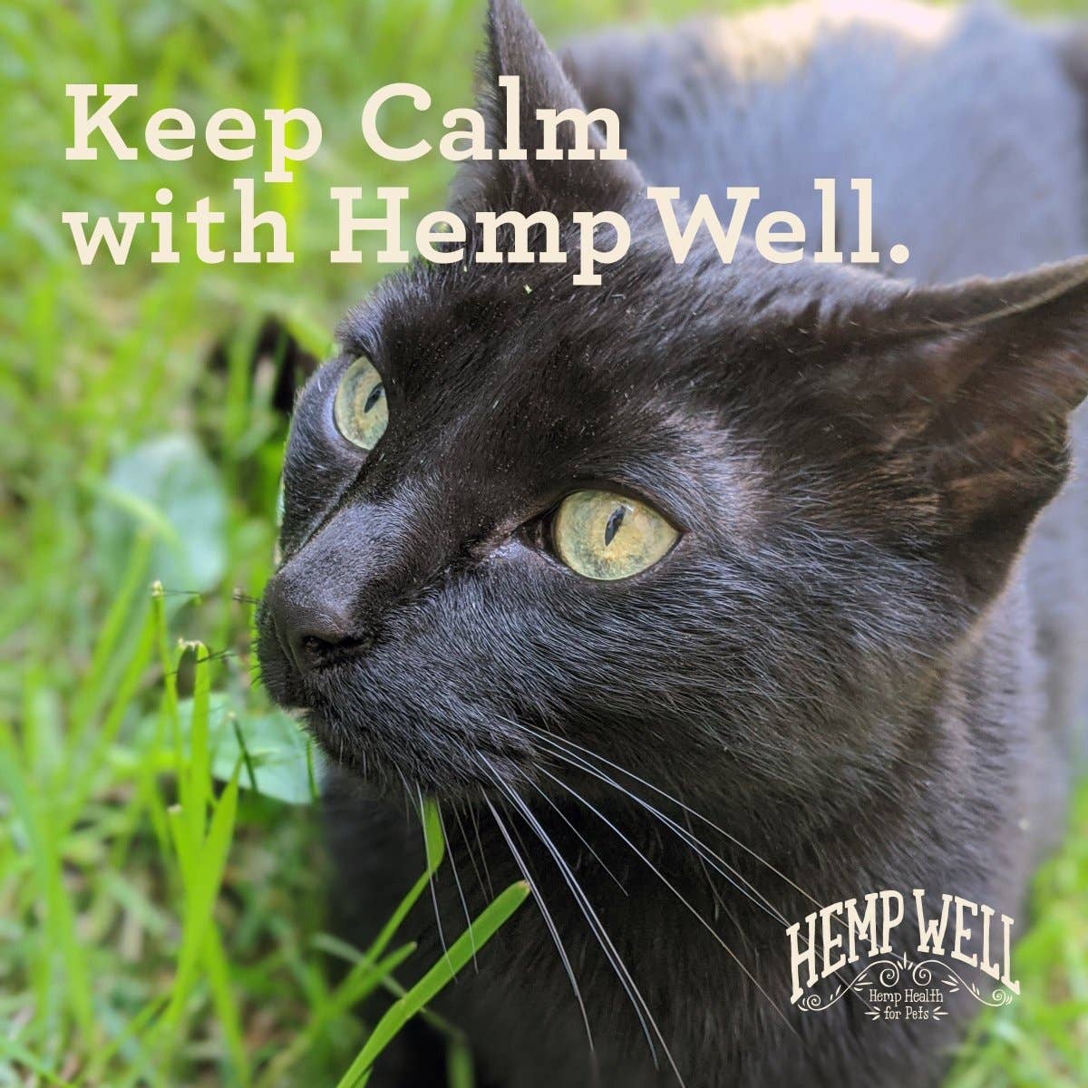 Hemp Well Calm Cat - 2 ounce