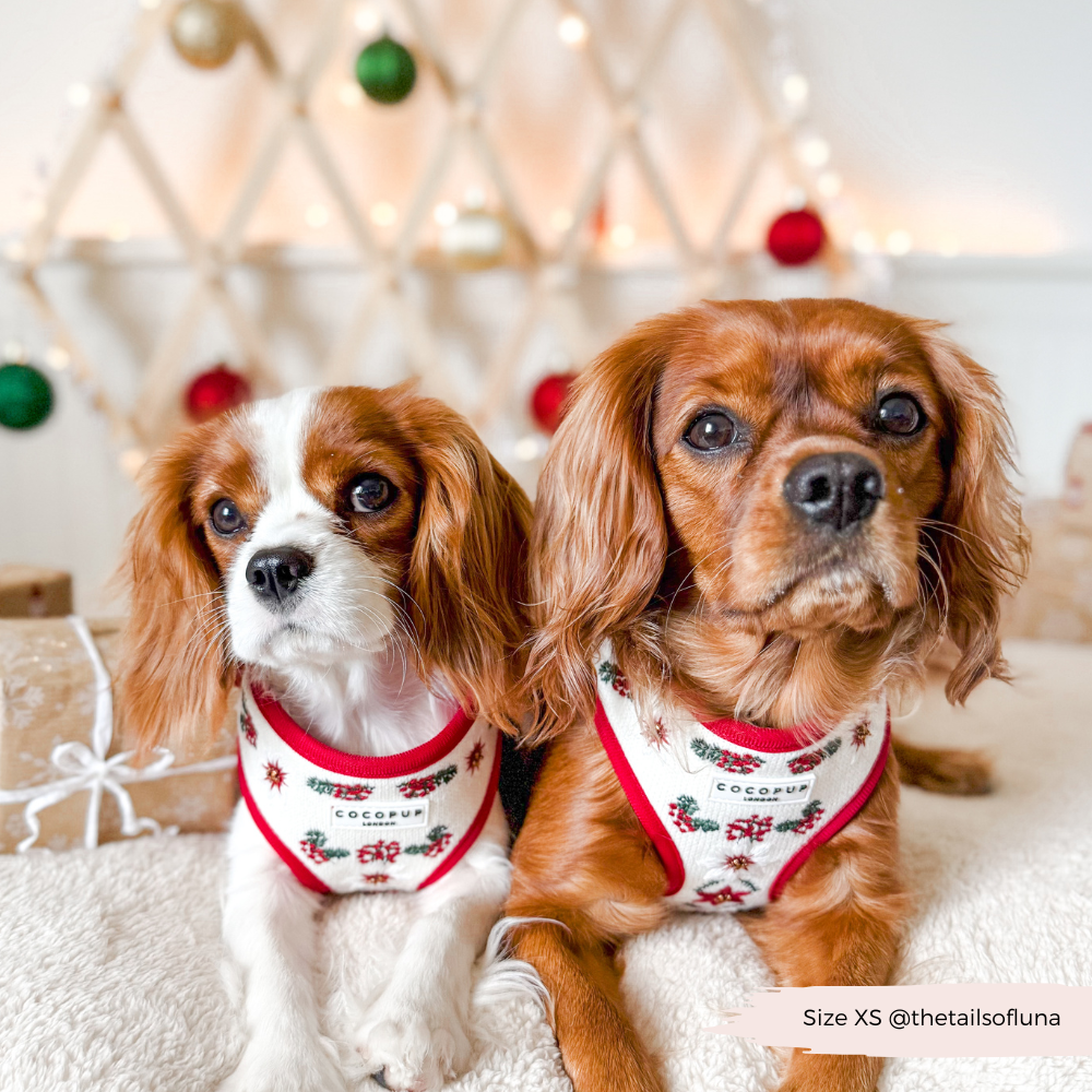 LUXE Embroidered Frosty Flower HARNESS