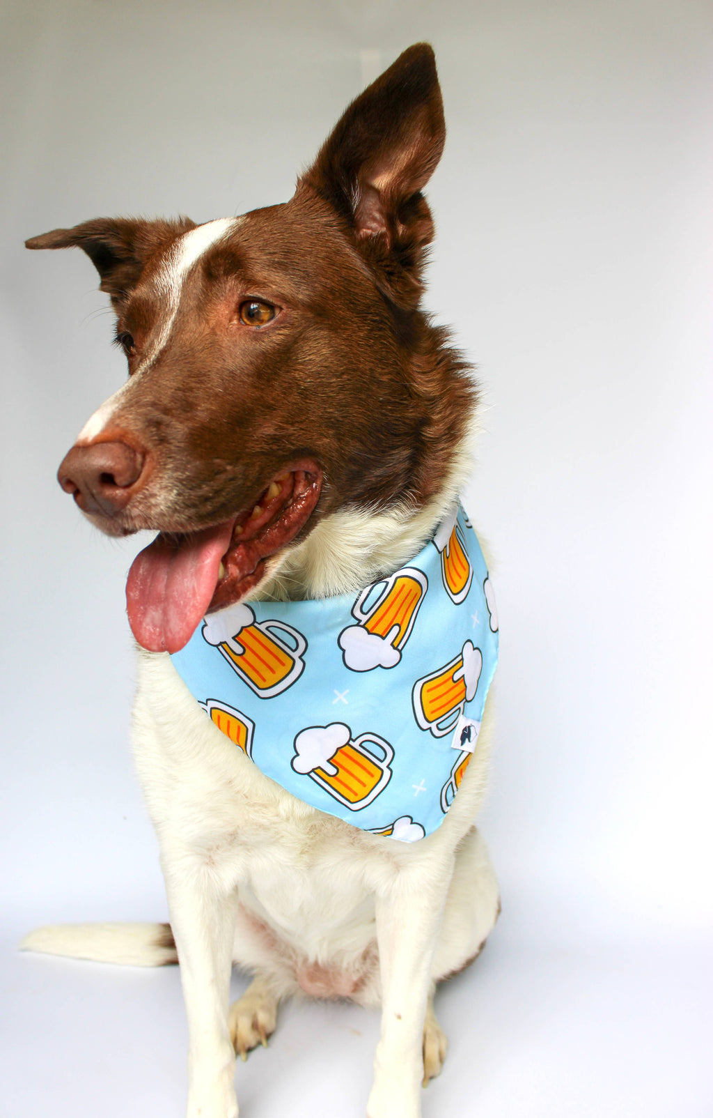Cheers & Beer Dog Bandana
