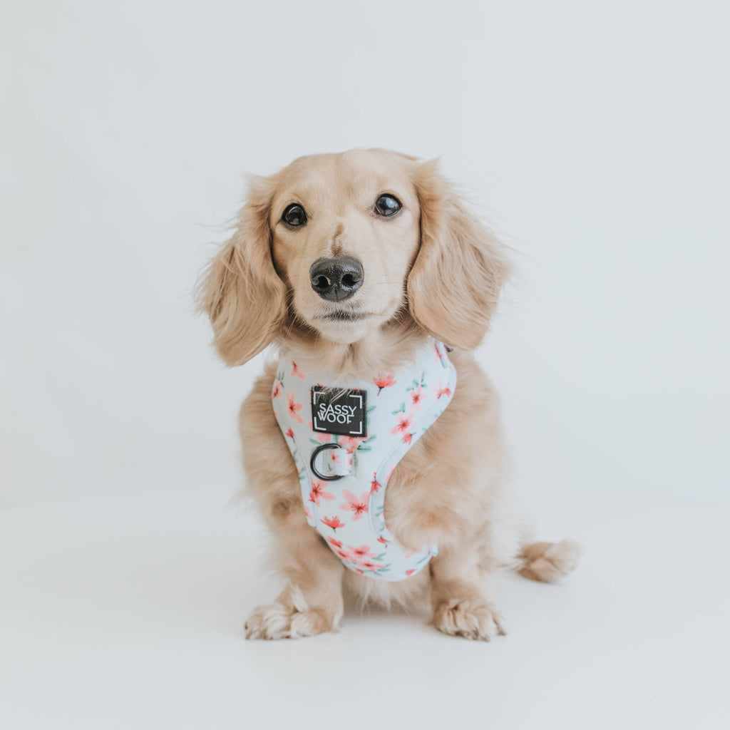 Dog Adjustable Harness - Sakura