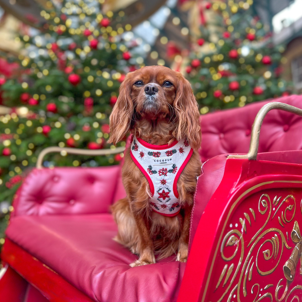 LUXE Embroidered Frosty Flower HARNESS