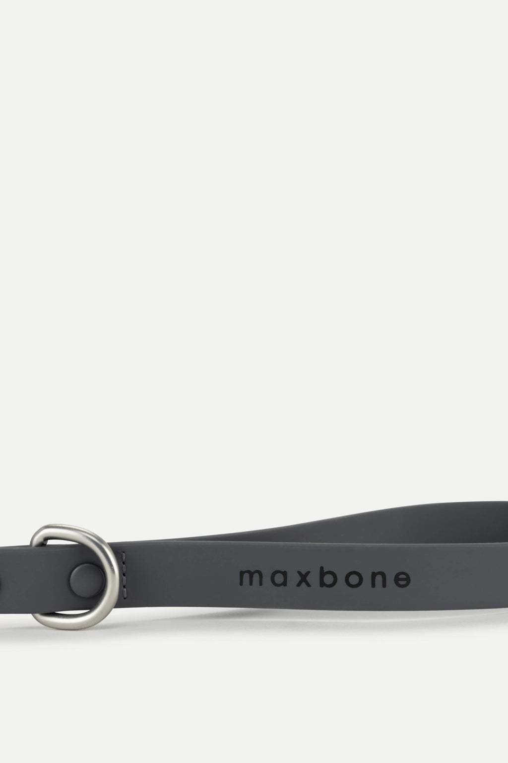 Sand Leash for Dogs