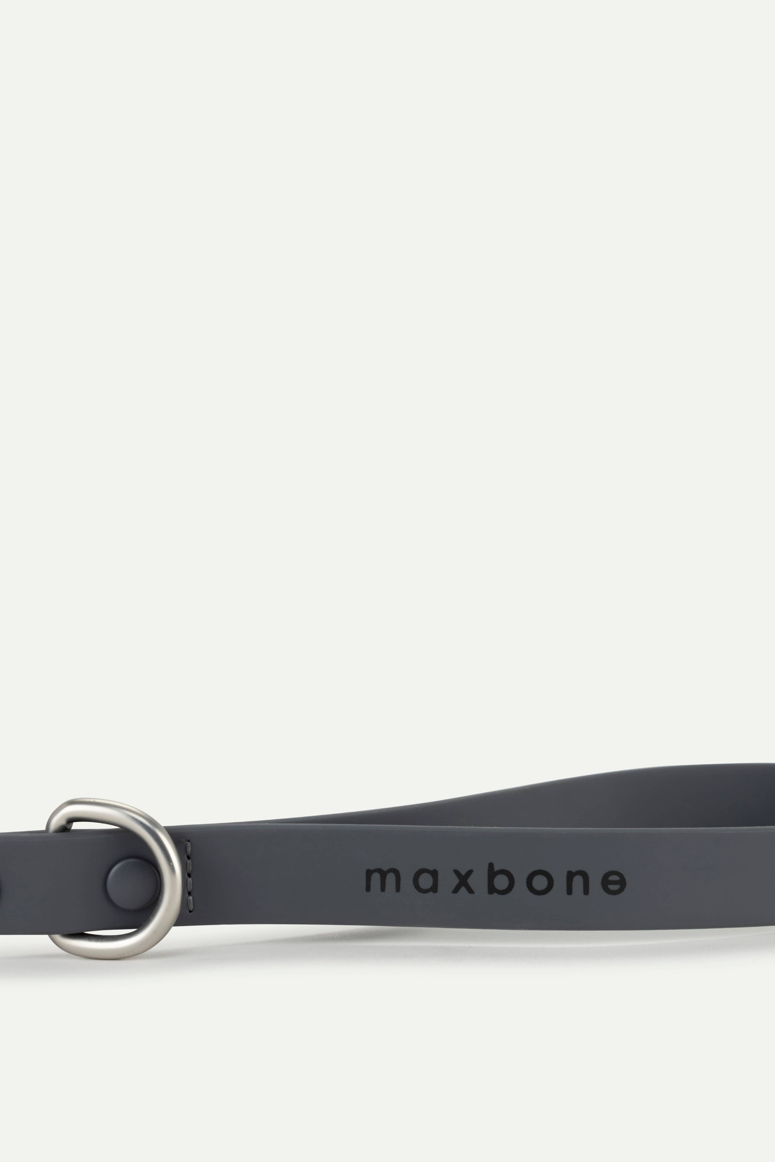 Sand Leash for Dogs