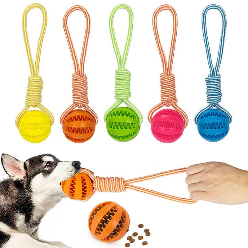 Dog Ball Toy with Rope Interactive