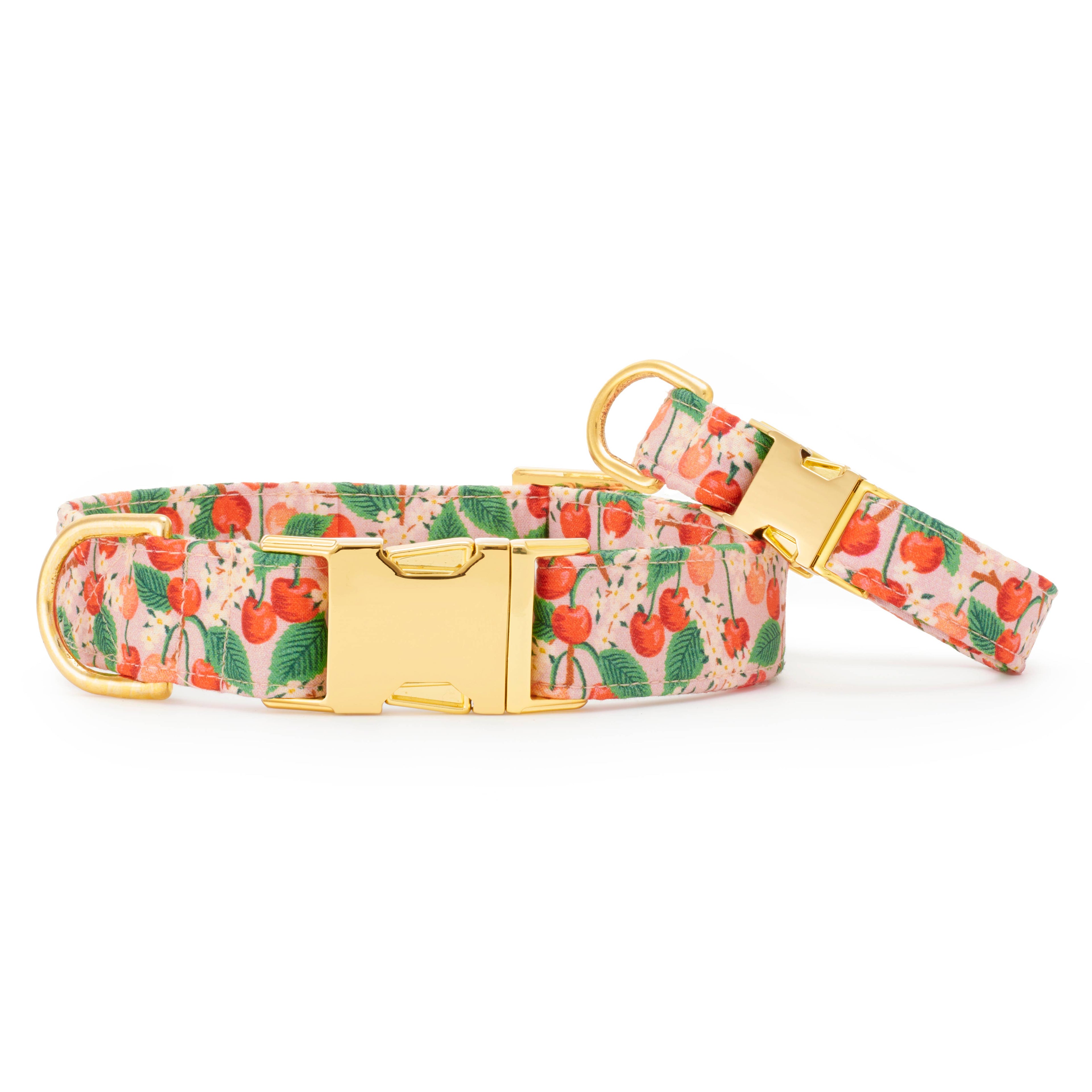 Rifle Paper Co. x TFD Cherry Blossom Spring Dog Collar
