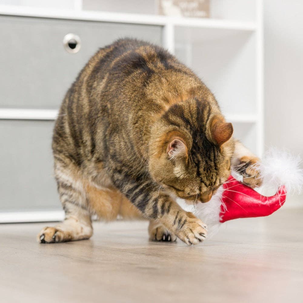 Santa Hat & Sweet Thing Candy 2pk For Cats