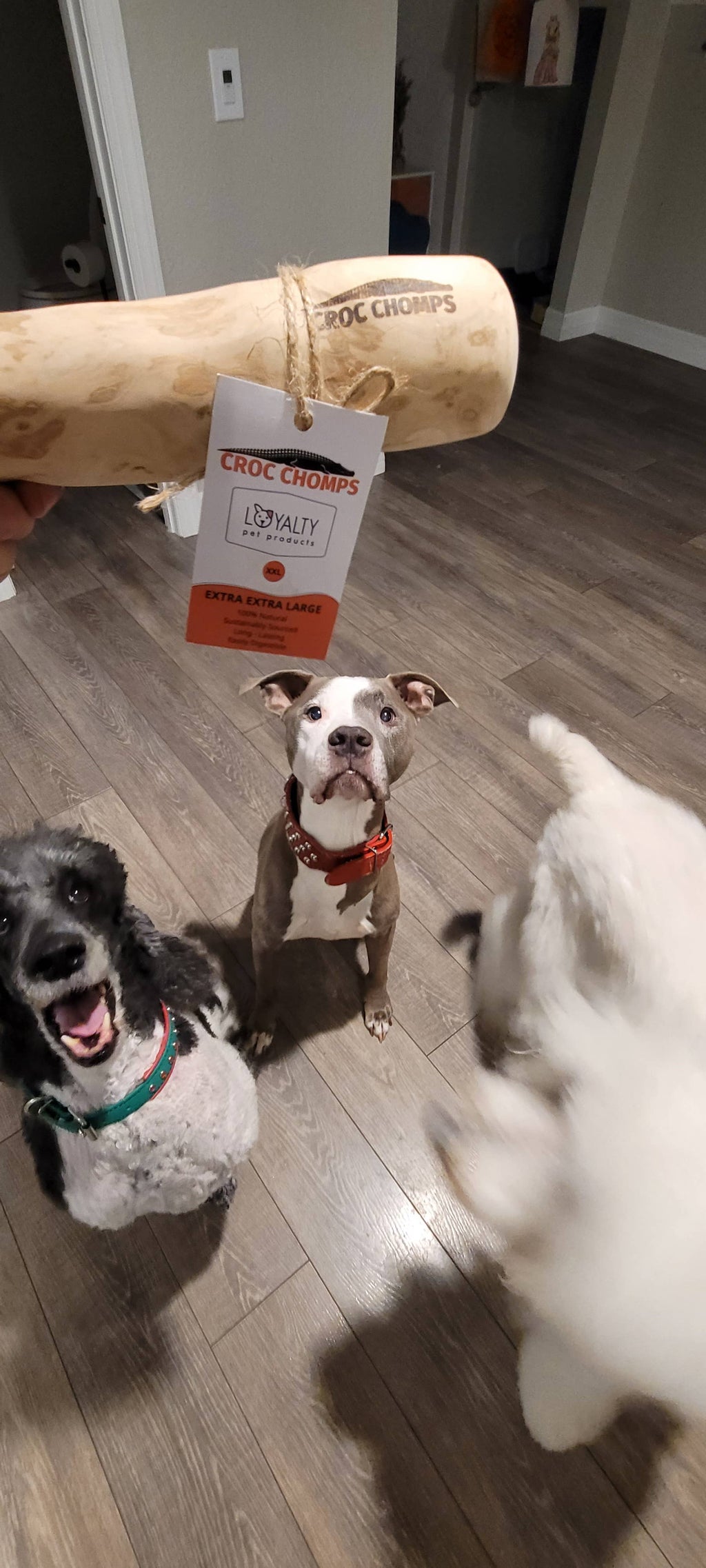 Croc Chomps - 100% Organic and Sustainable Coffee Wood Chews