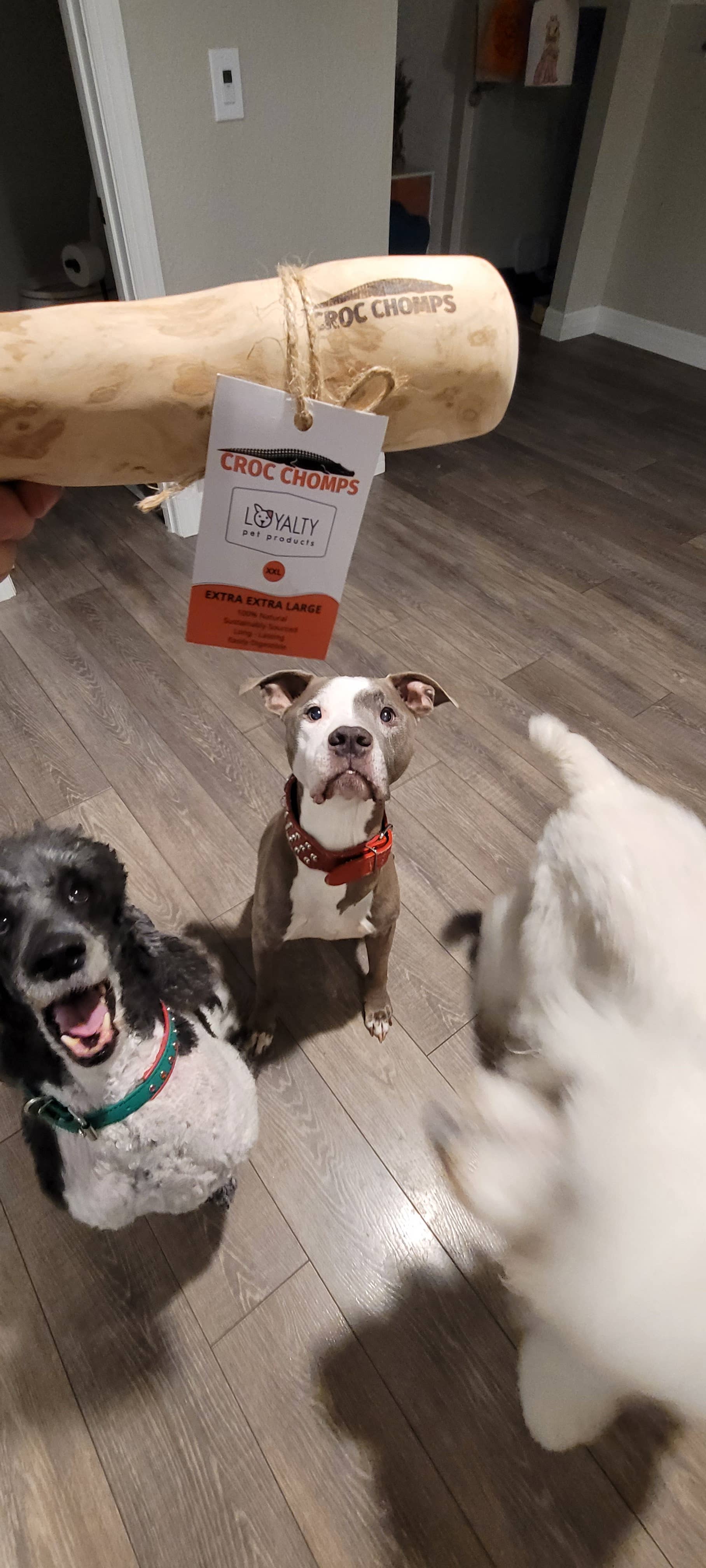 Croc Chomps - 100% Organic and Sustainable Coffee Wood Chews
