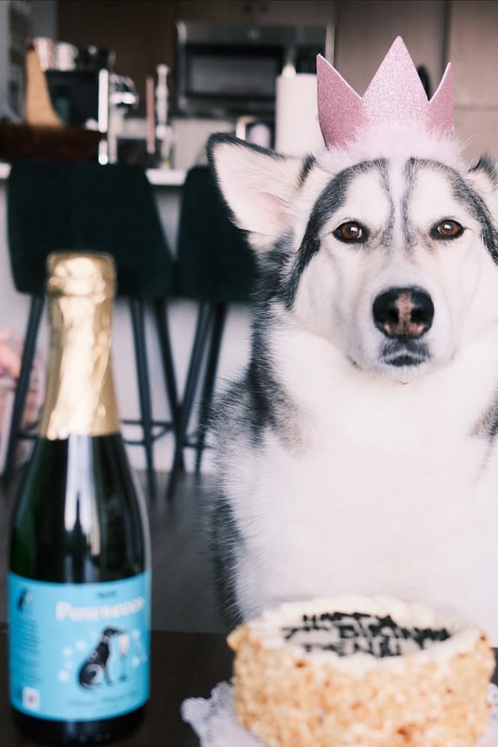 Pawsecco Dog Prosecco 375mL | 6ct | Electrolyte