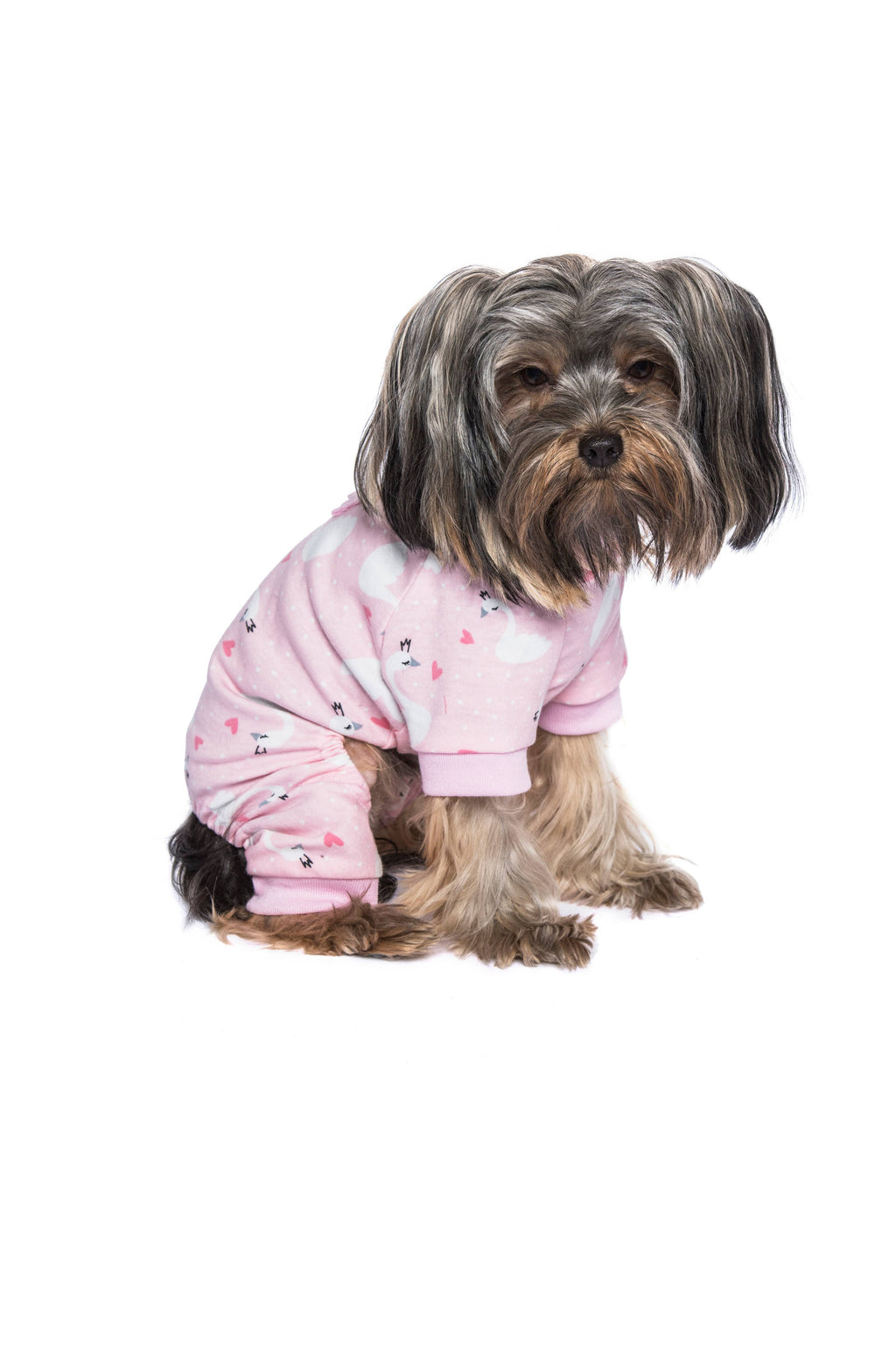 Pink Swan Pajama