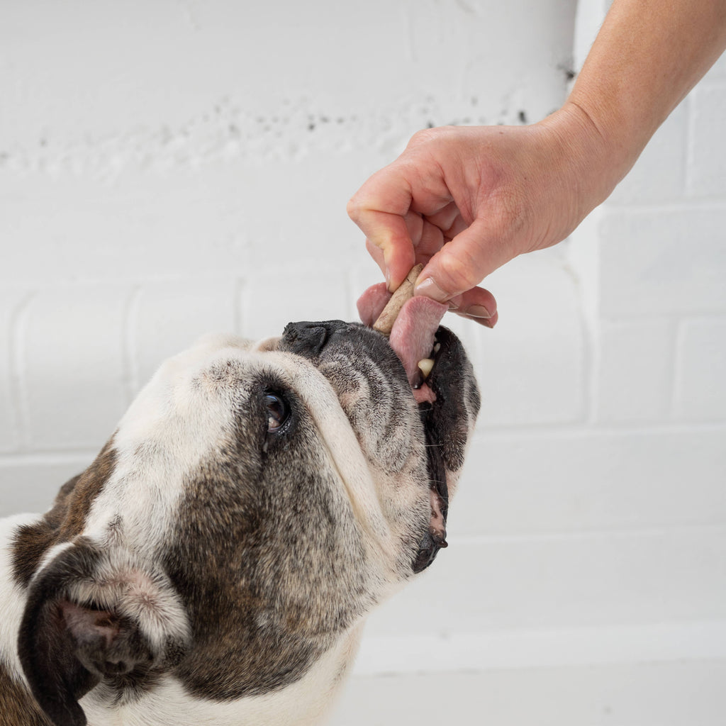 Woof Beef Tongue 'n' Cheek Treat 1.76oz