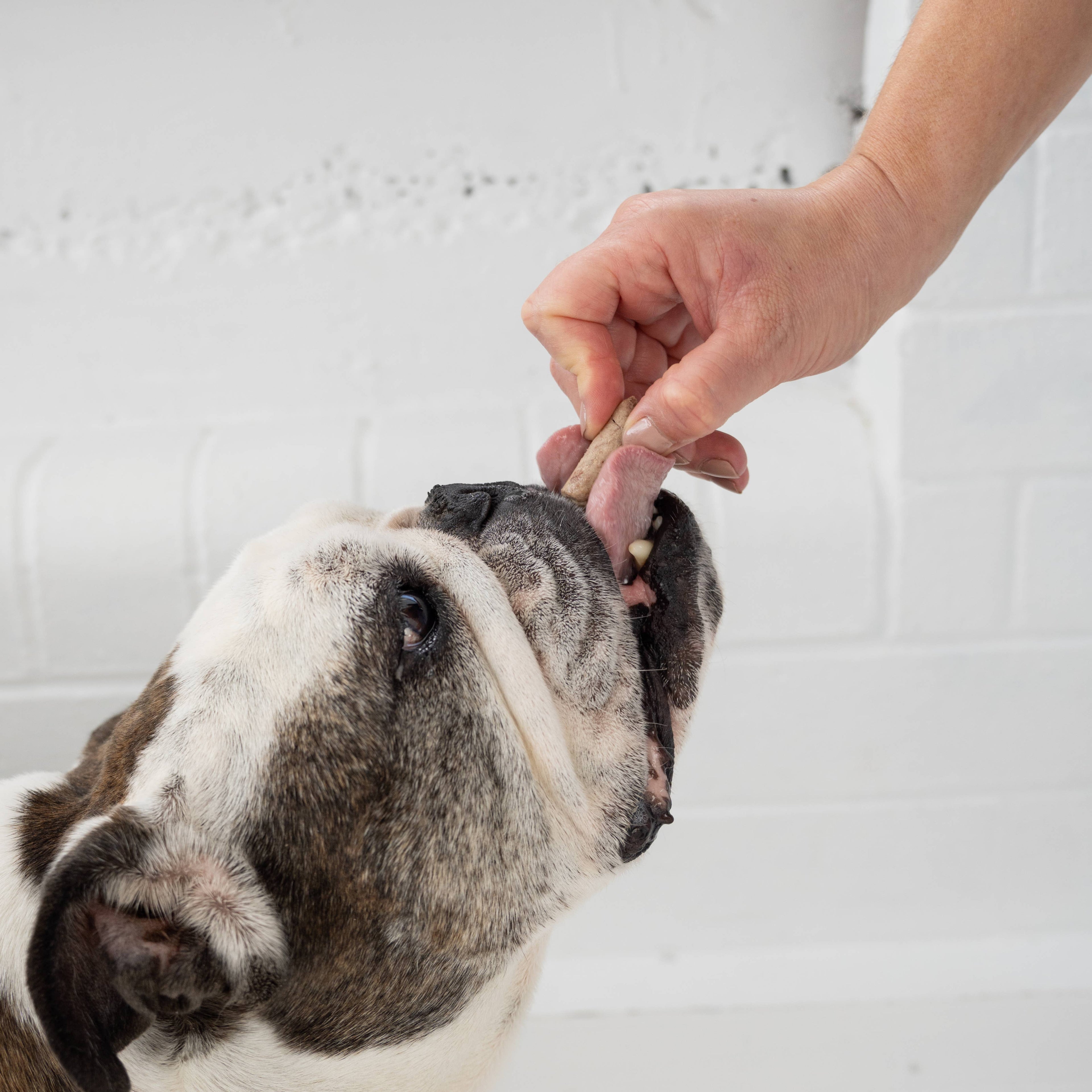 Woof Beef Tongue 'n' Cheek Treat 1.76oz