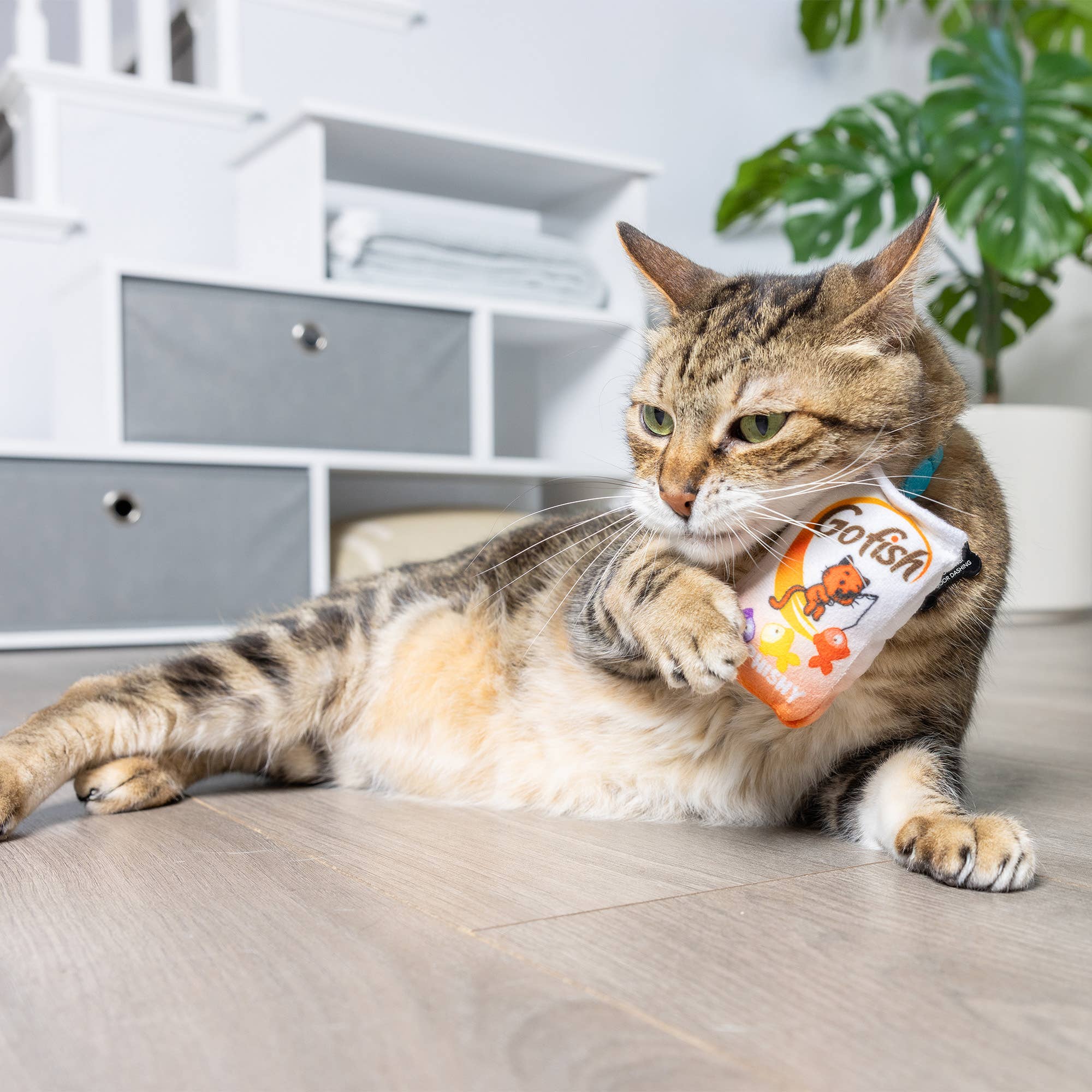 Go Fish Phishy For Cats