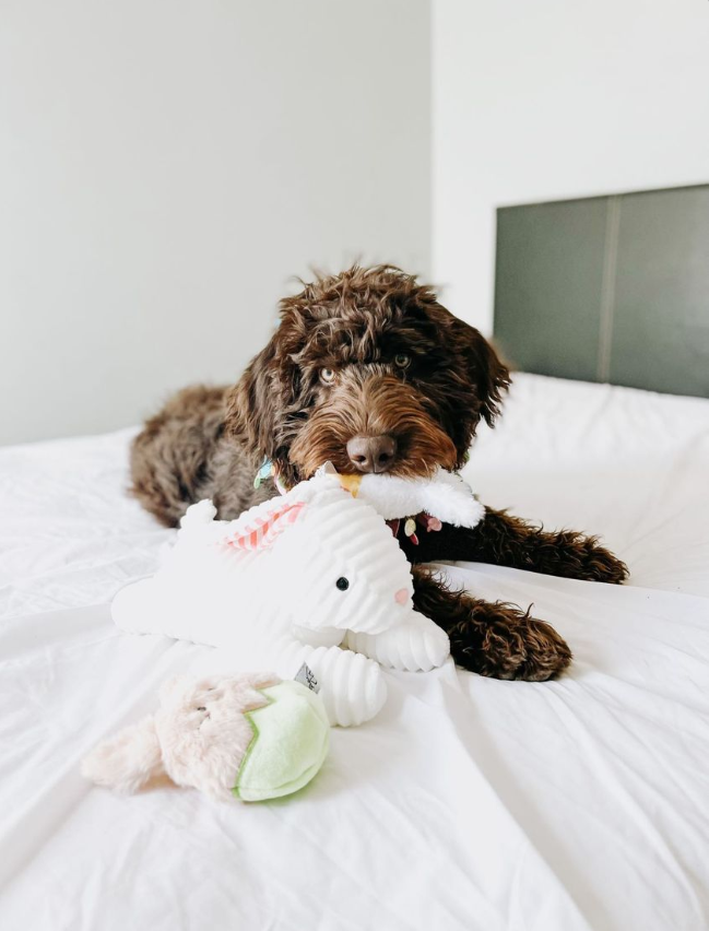 Midlee Stripe Ears White Easter Rabbit Dog Toy