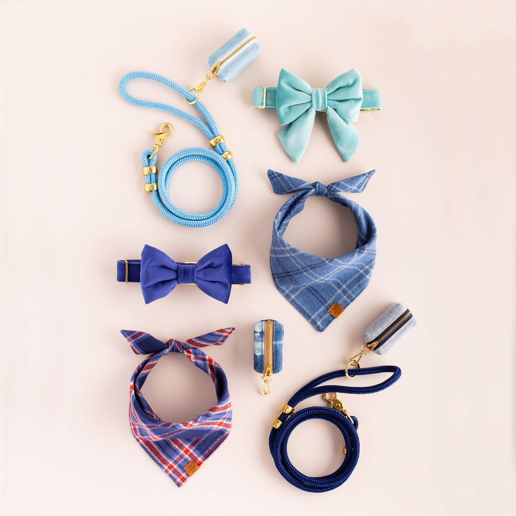 Robin's Egg Blue Velvet Spring Dog Collar