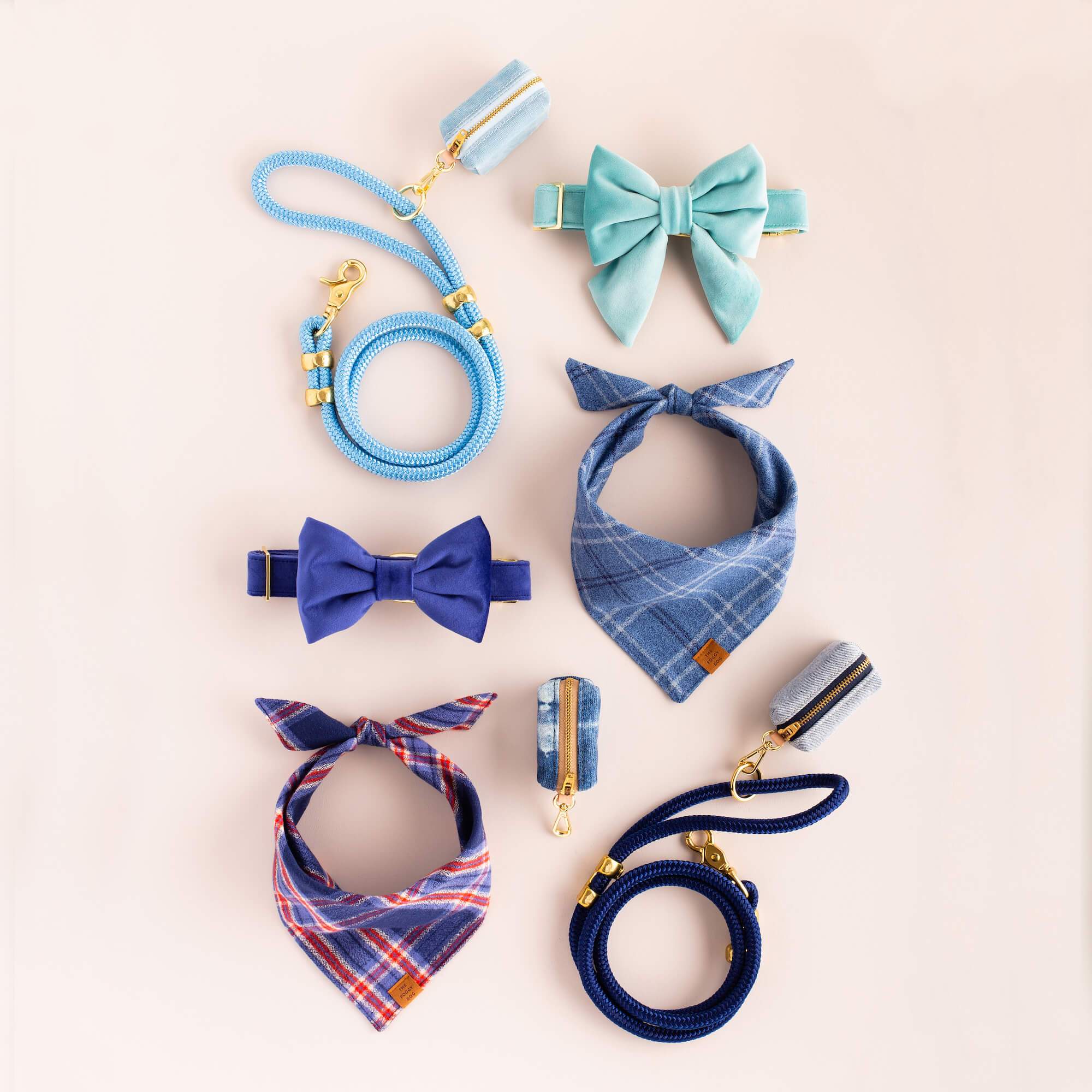 Robin's Egg Blue Velvet Spring Dog Collar