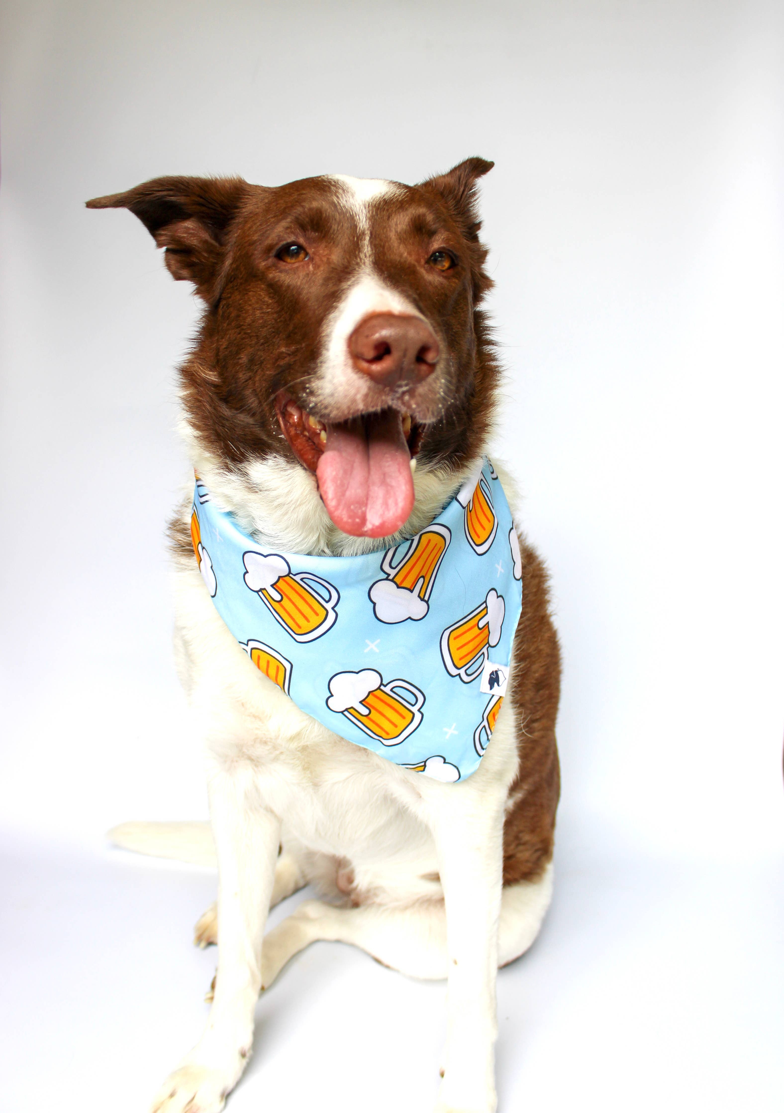 Cheers & Beer Dog Bandana