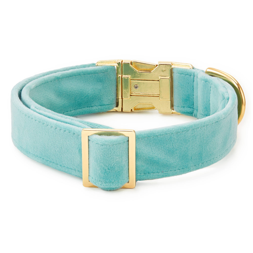Robin's Egg Blue Velvet Spring Dog Collar