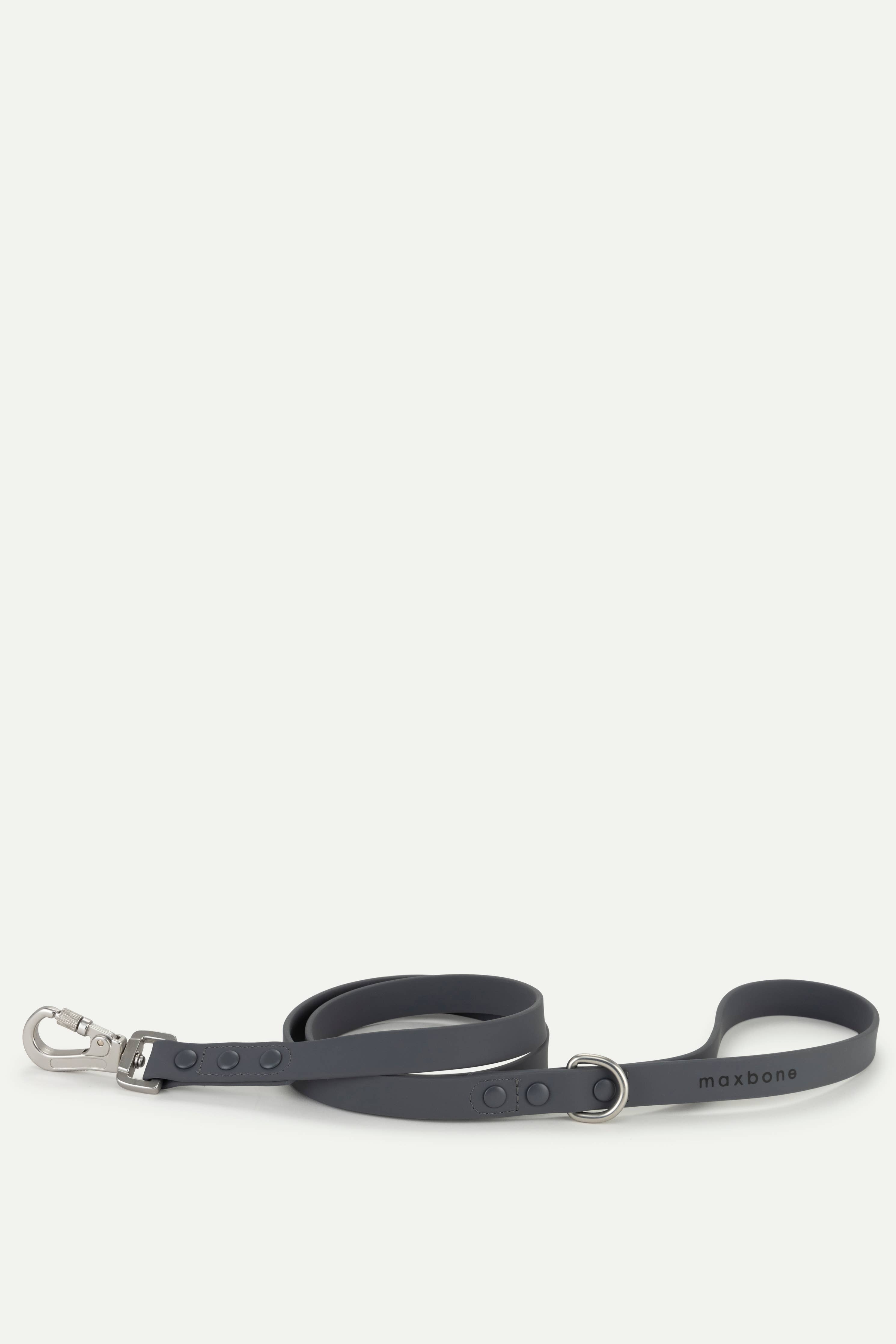 Sand Leash for Dogs