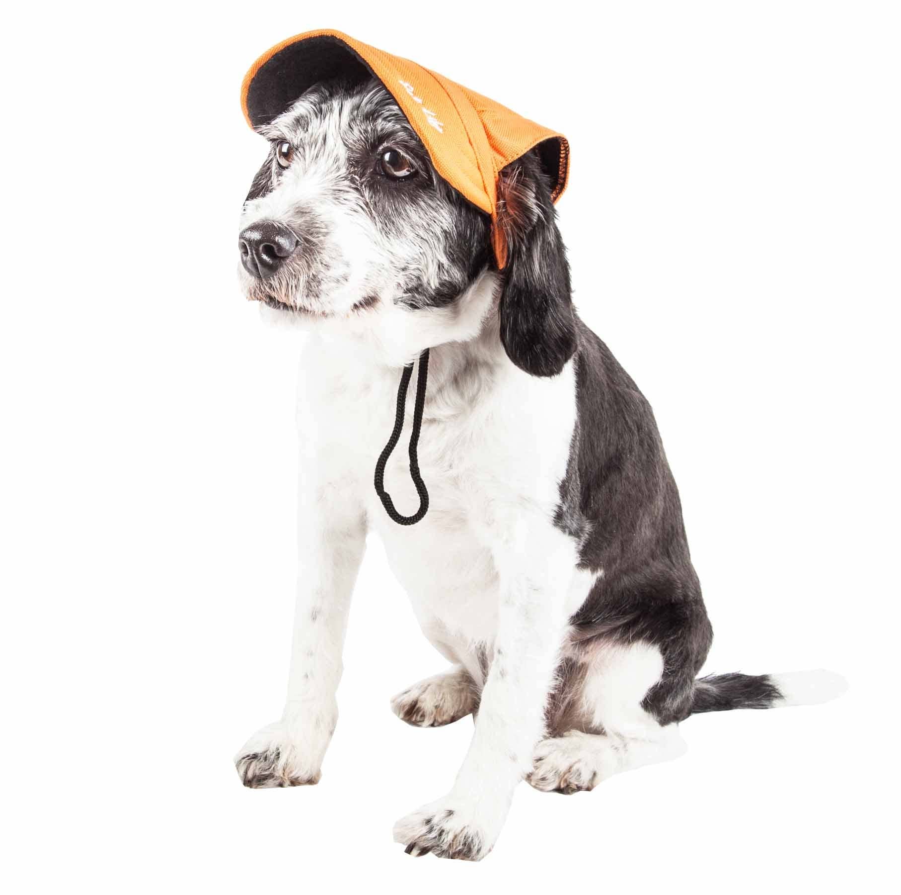 Black Dog Hat