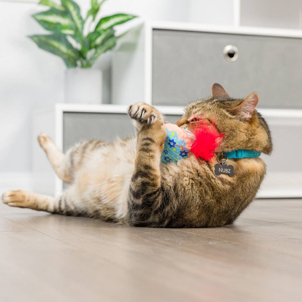 Jelly Roll & Meowchewits 2pk For Cats