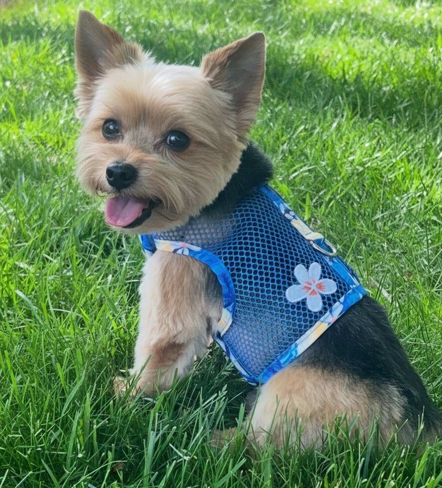 Cool Mesh Dog Harness - Catching Waves