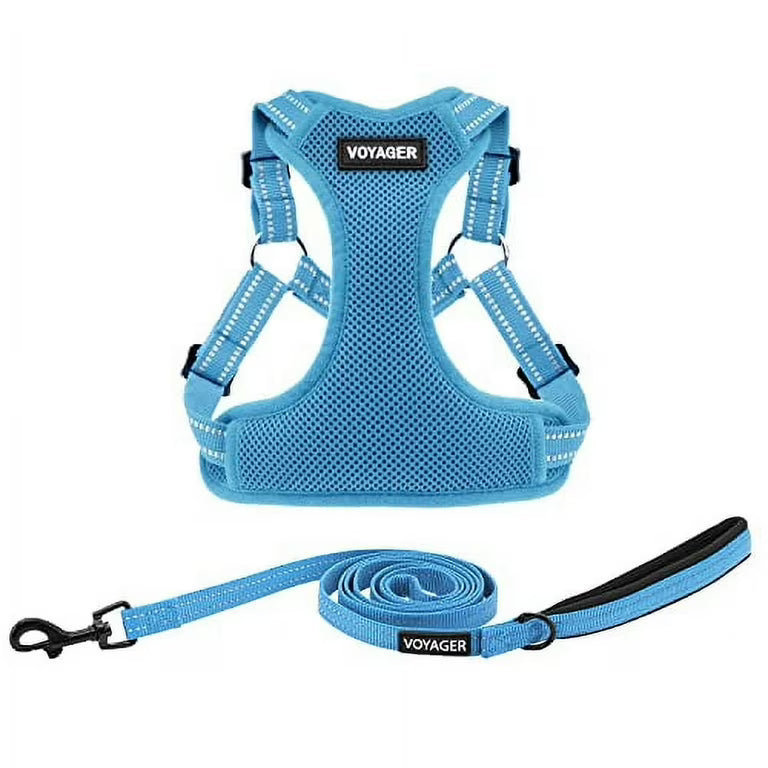Voyager Harness