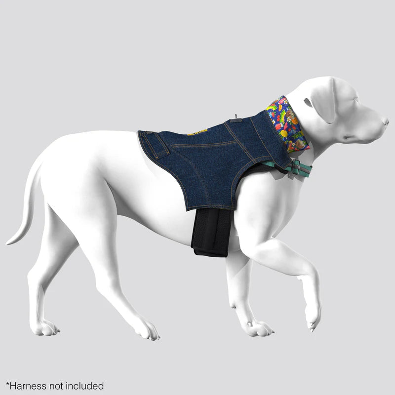 Tommy Bahama Denim Jacket and Harness