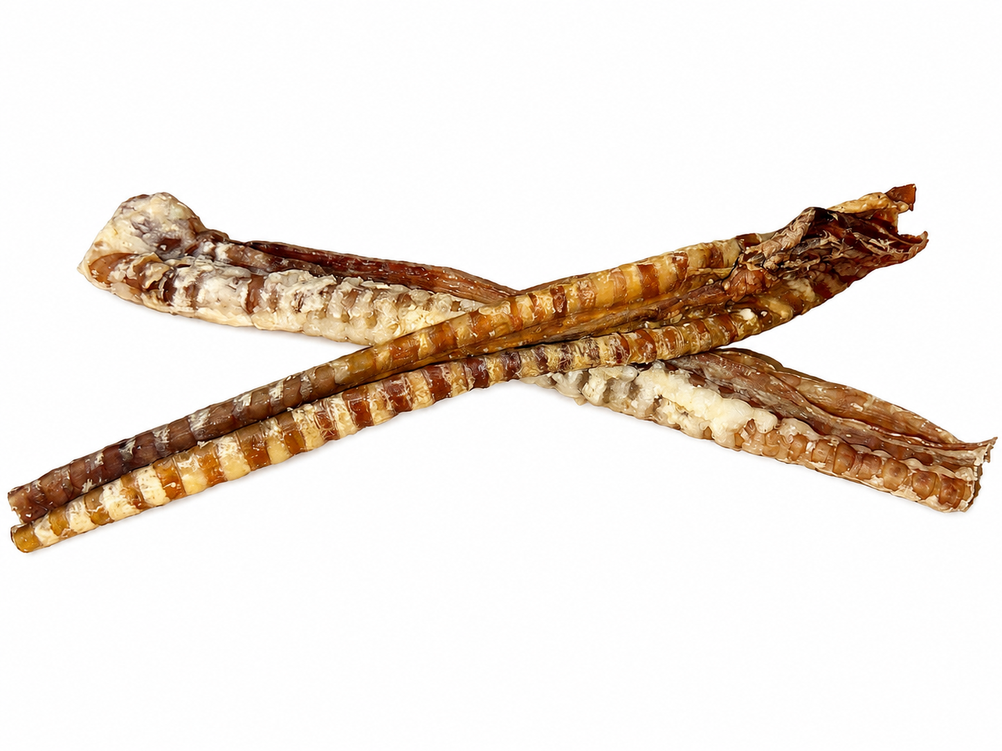 Beef Trachea Dog Treat 12"
