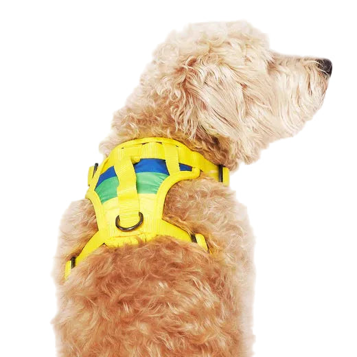 The Everything Harness Water-Resistant Series