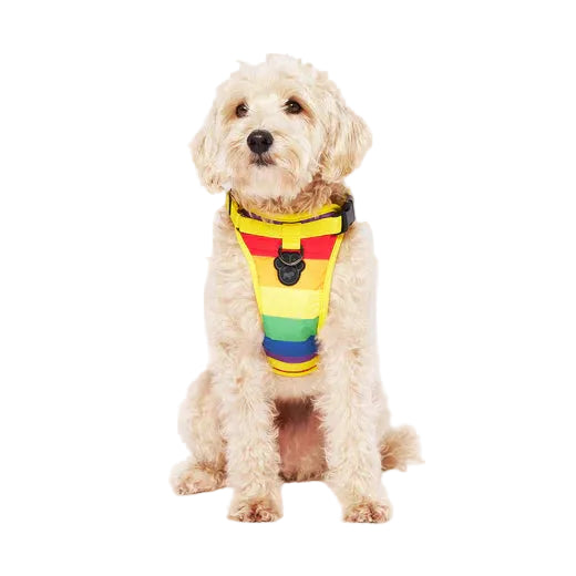 The Everything Harness Water-Resistant Series