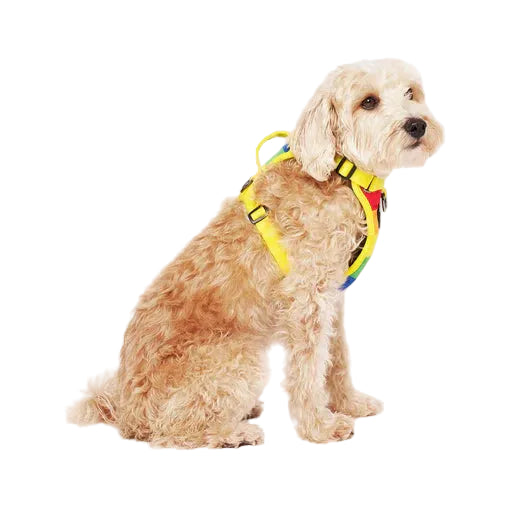 The Everything Harness Water-Resistant Series