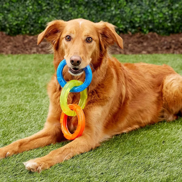 NERF 3-Ring Tug Dog Toy