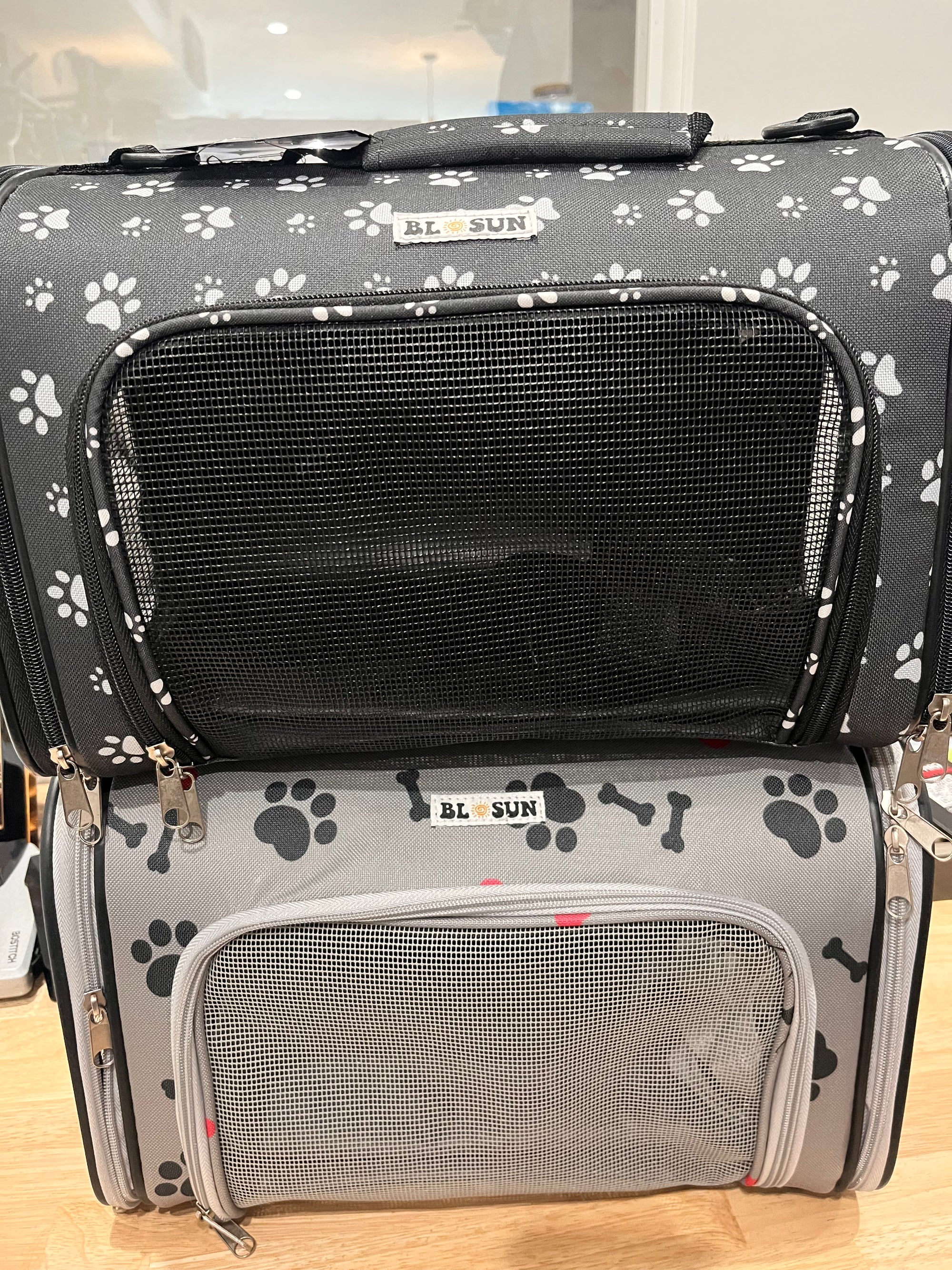 Pet Carrier
