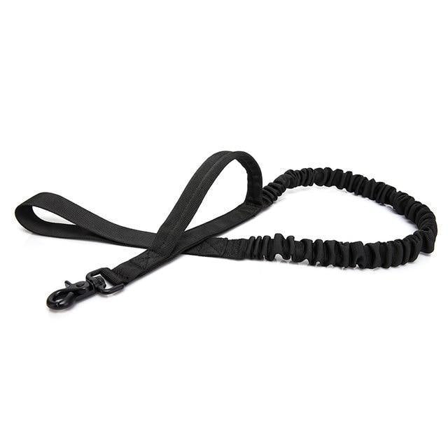 Black Bungee Leash