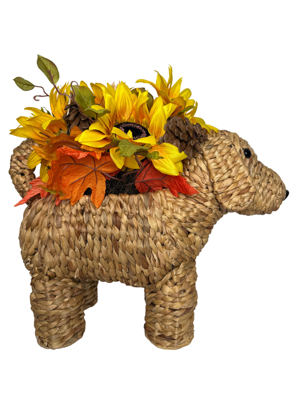 Dog Basket