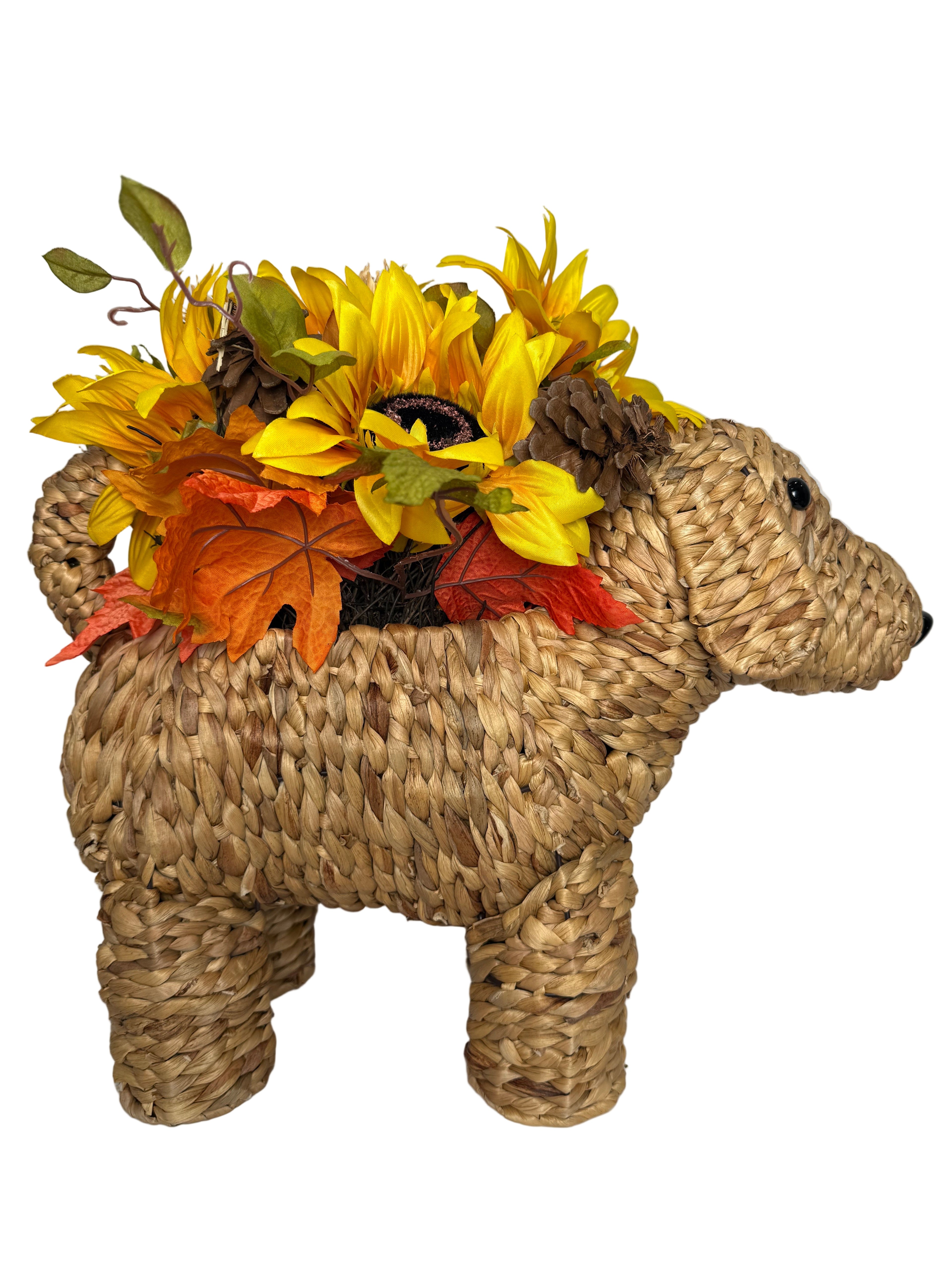 Dog Basket