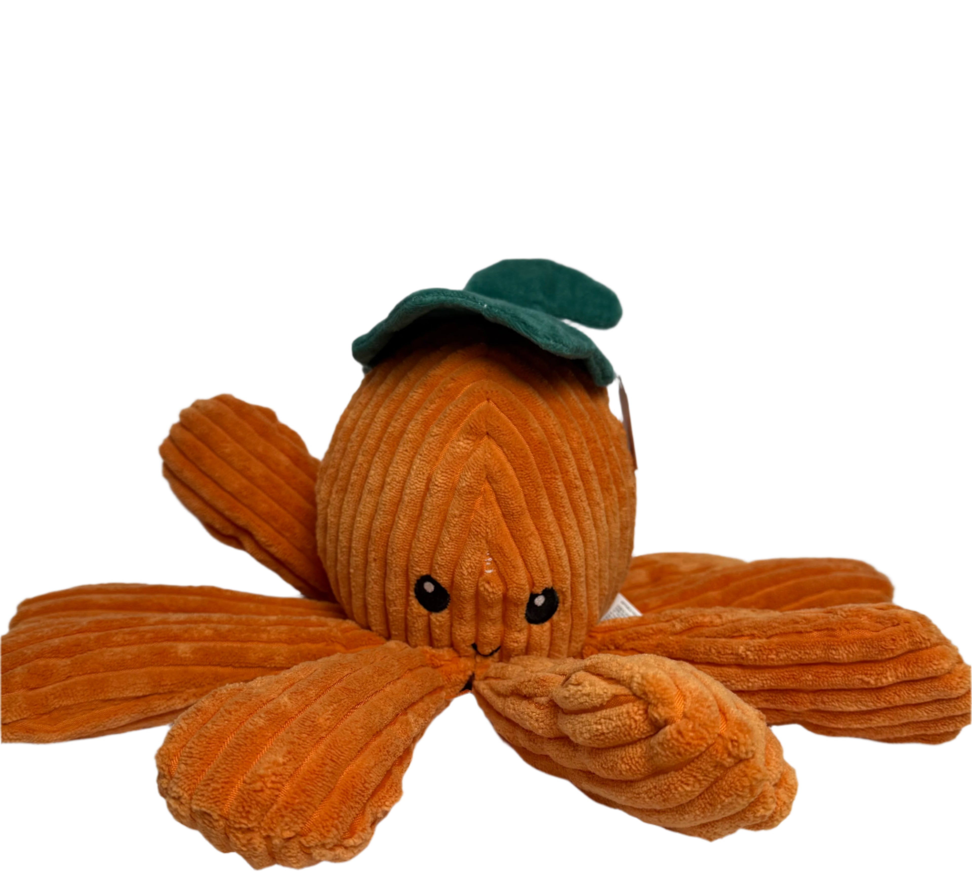 Halloweeny Polypus Pumpkin
