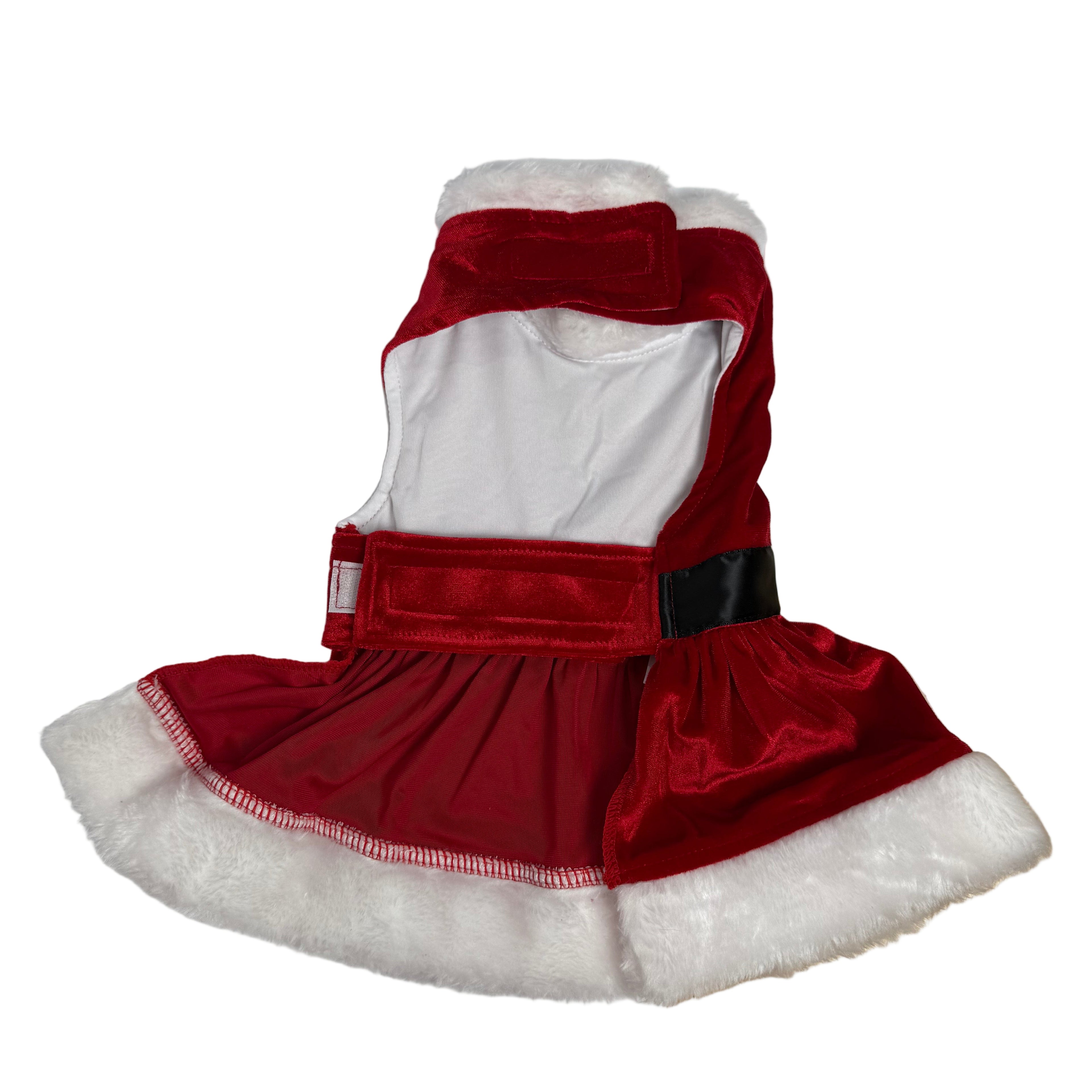 Santa Dress