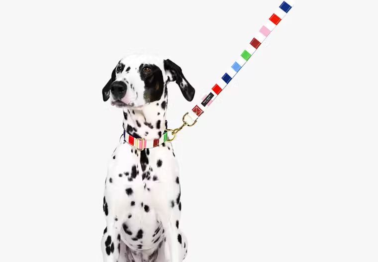Kate Spade Leash