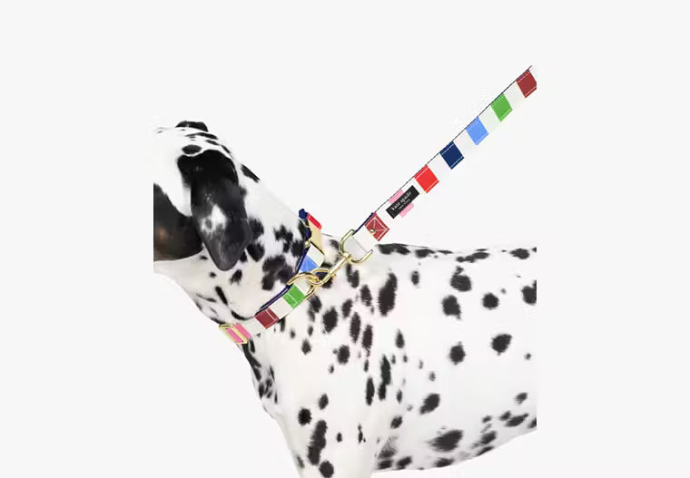 Kate Spade Adventure Collar Stripes