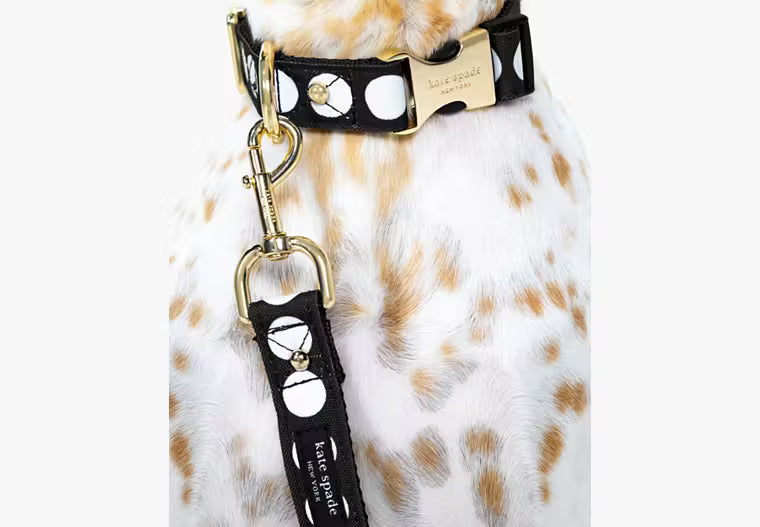Kate Spade Art Dot Collar