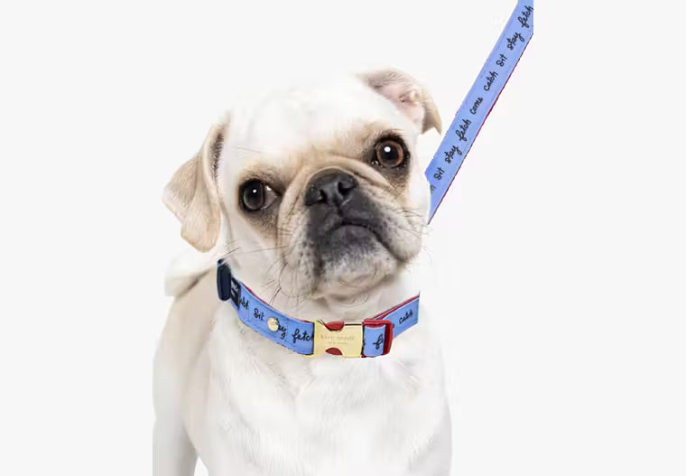 Kate Spade Dog Collar SM
