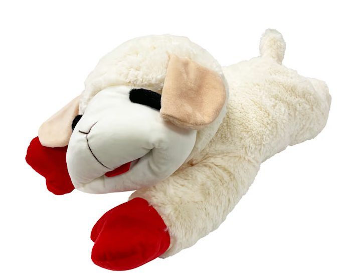 Lamb Chop