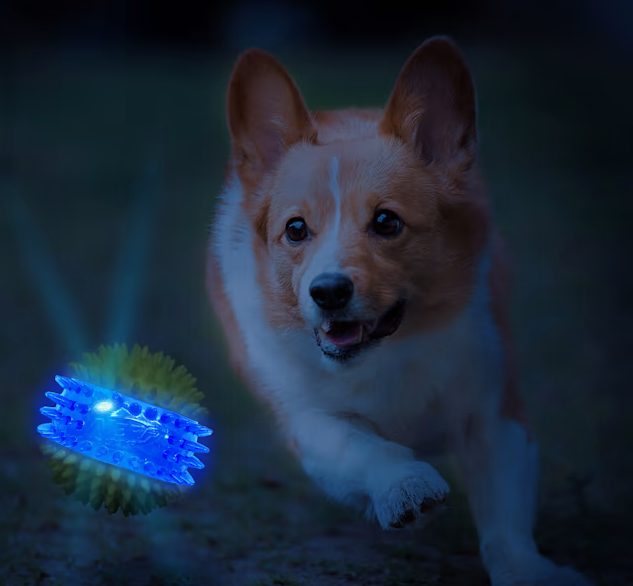 Nerf Translucent TPR 3-Part Spike LED and Squeak Ball Toys for Dogs