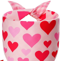 Reversible Heart and Gingham Bandana