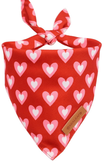 Pink and Red Hear Bandana