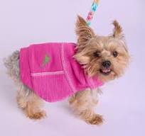 Tommy Bahama Apparel Harness Pink