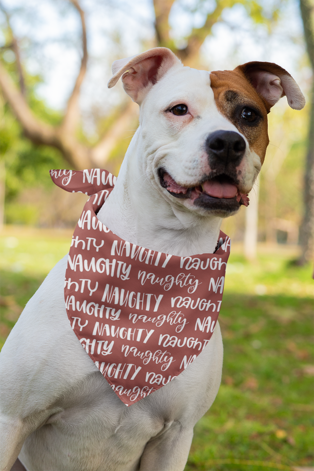 Naughty Or Nice Tie On Dog Bandana