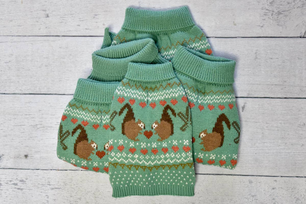 Fernfield Squirrel Sweater